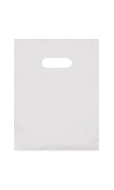 Small Clear Frosted Plastic Merchandise Bags - Case of 250zoom