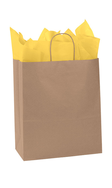 Extra Large (Traveler) - Natural Kraft Paper Shopping Bags - Case of 250zoom